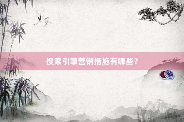 搜索引擎营销措施有哪些？